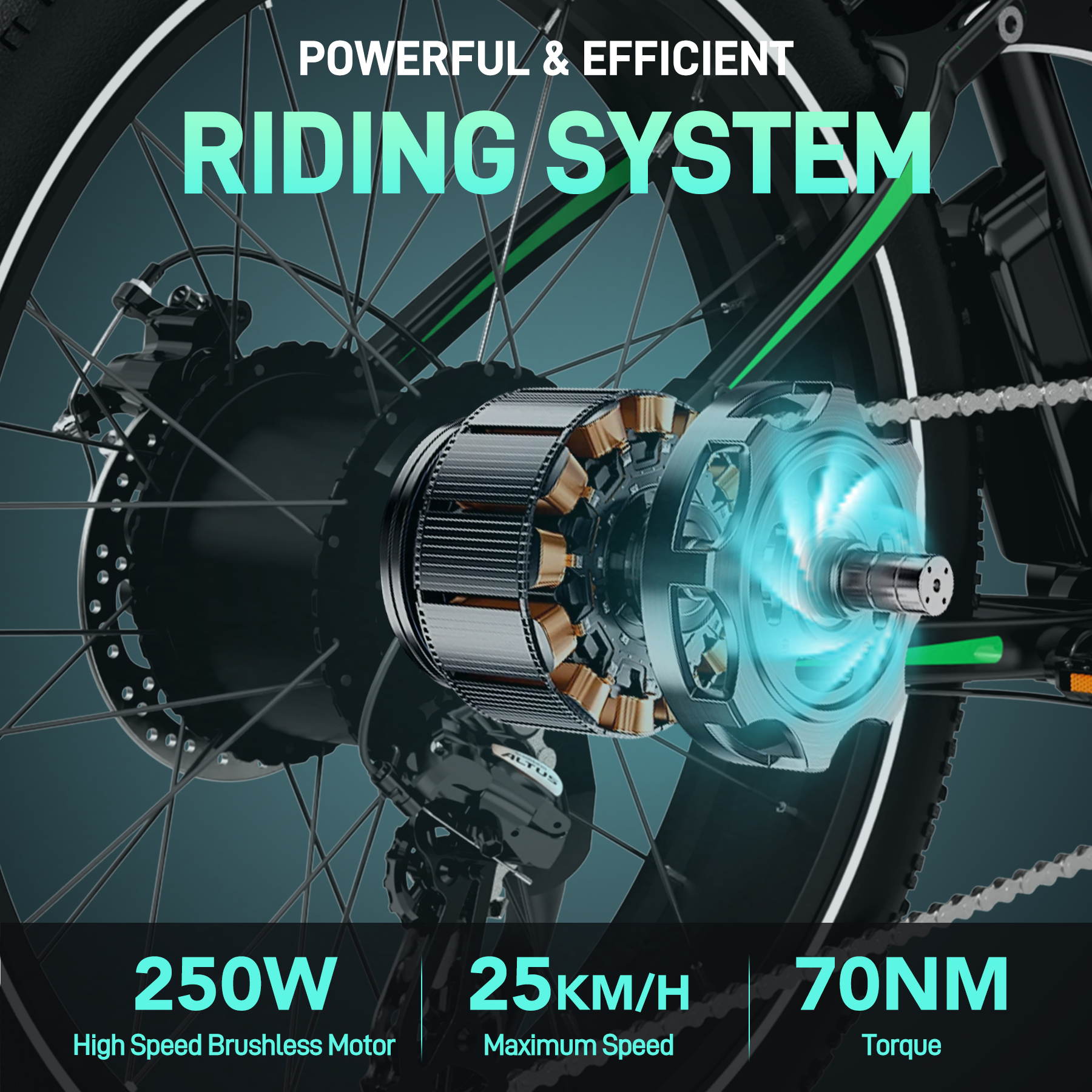 Electric Bike with 250W Motor, 48V Battery, Fat Tires, Dual Suspension, LCD Display