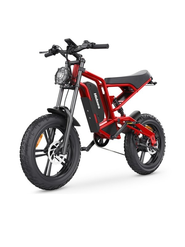 Mountain E-Bikes