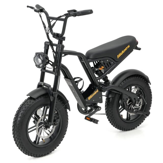 20" Fat Tire Electric Bike for Adults, Dual Suspension, 750W Motor