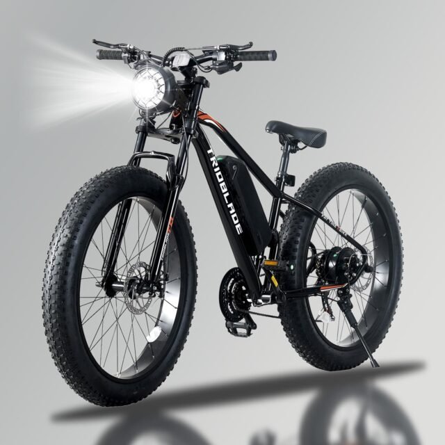 Electric Mountain Bike for Adults 250W, 36V 10.4Ah Removable Battery